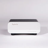 Raphaelite Fully Coupled Permalloy Step-up Transformer For MC Cartridge