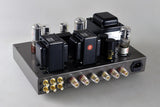 Raphaelite DSK6L 6L6 Tube Amplifier DIY kit